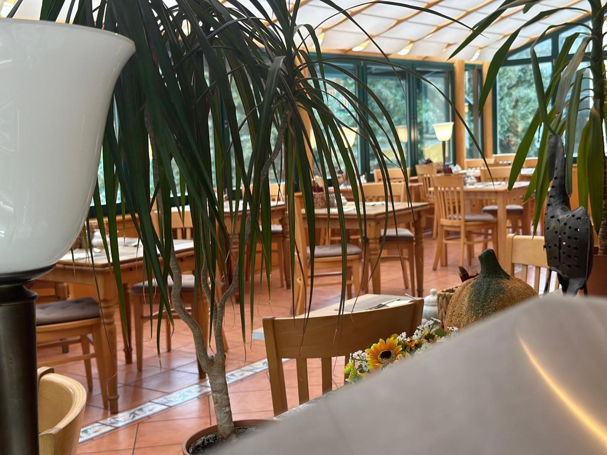Landhotel Harz Thale Ngoại thất bức ảnh