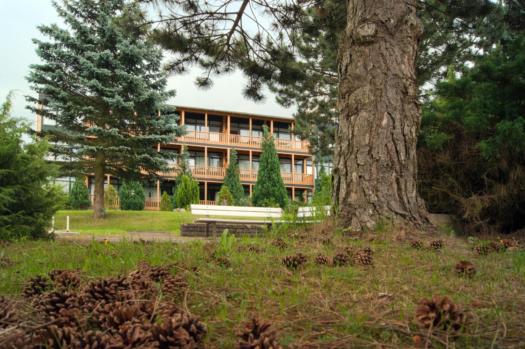 Landhotel Harz Thale Ngoại thất bức ảnh